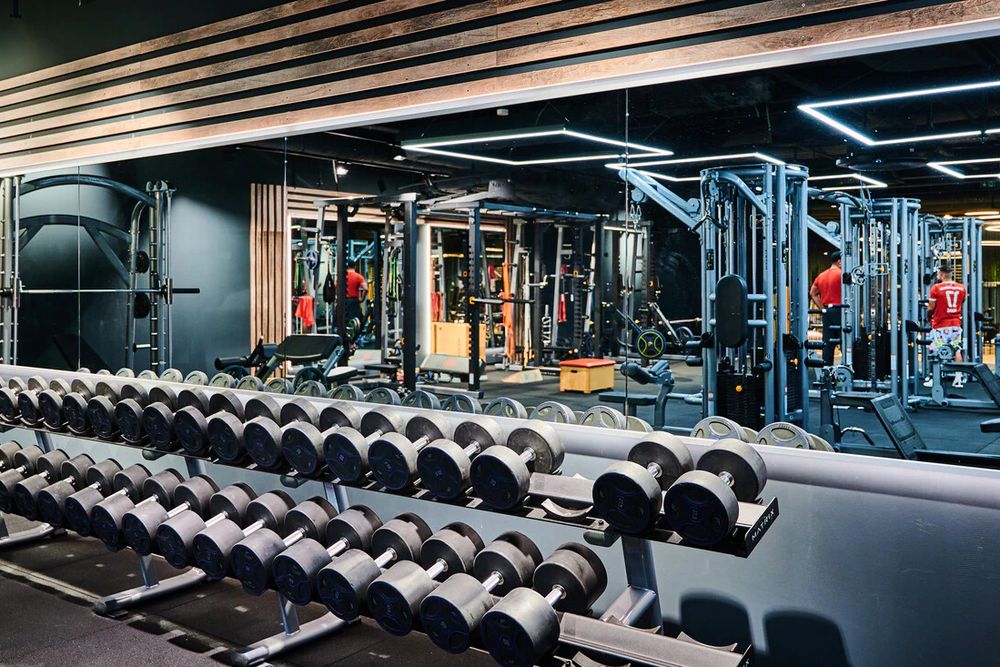 Freihantelbereich mit Kurzhanteln bei nord fitness