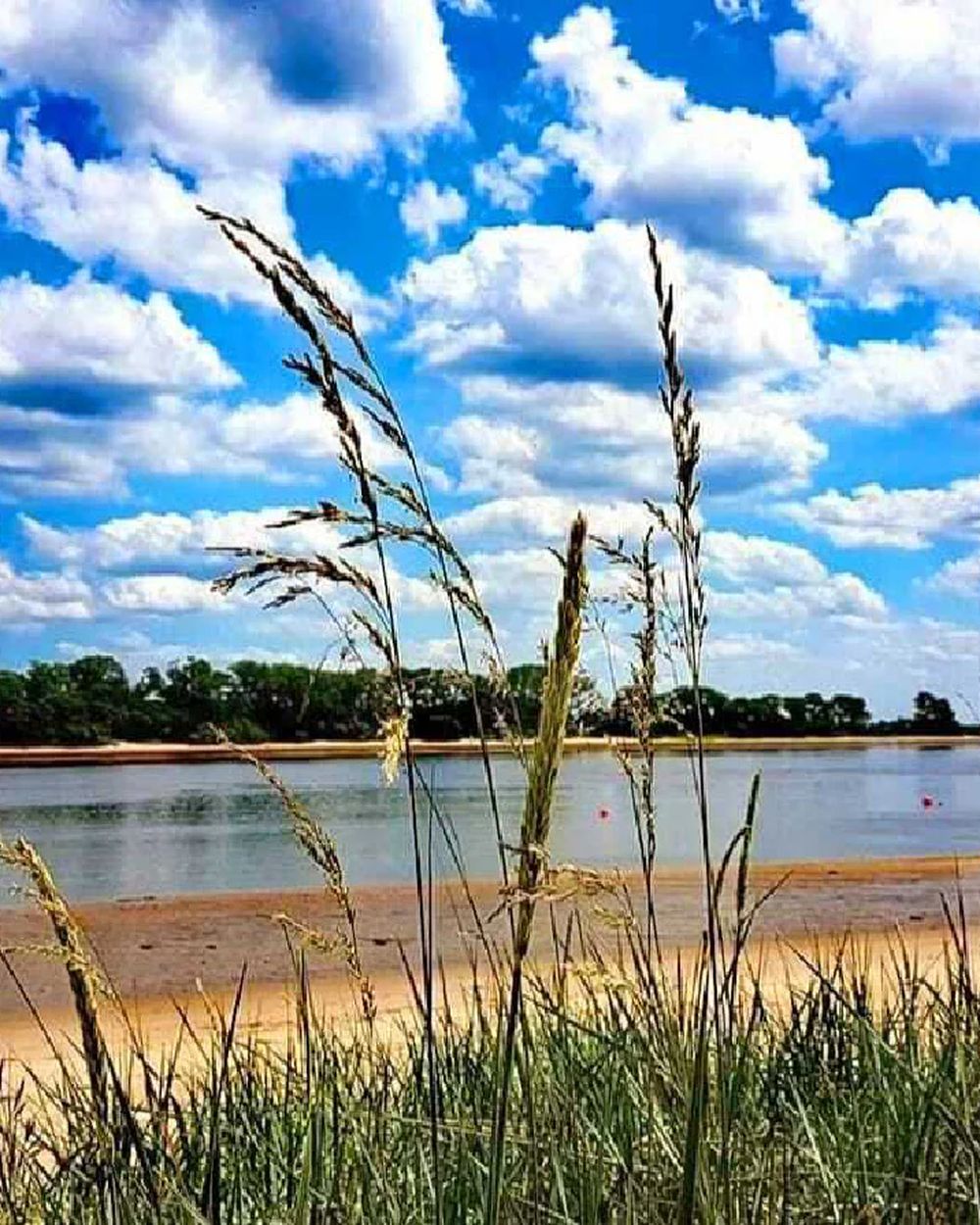 Weserufer mit Gräsern und Wolkenhimmel